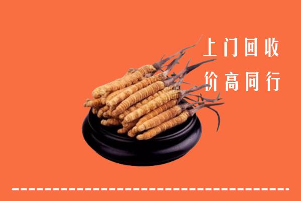 高价求购：前郭尔罗斯县回收散虫草