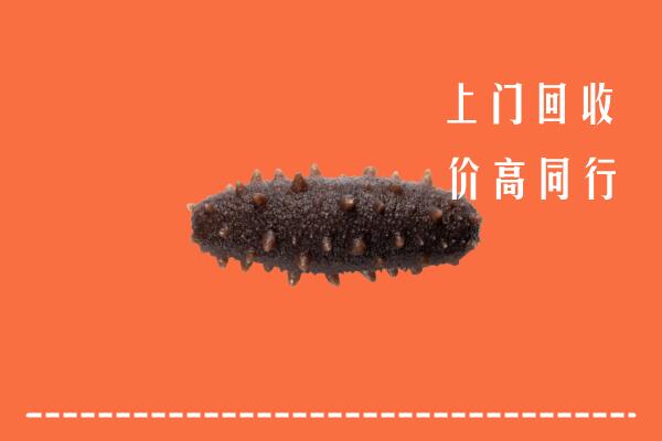 高价求购：前郭尔罗斯县回收海参