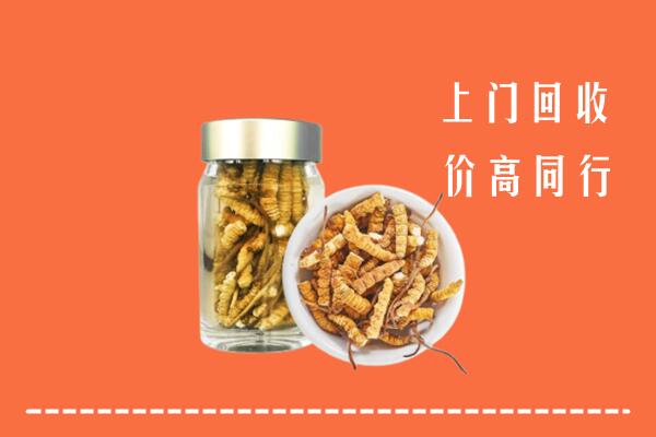 前郭尔罗斯县回收冬虫夏草